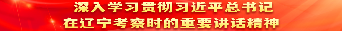 深入學(xué)習(xí)貫徹習(xí)近平總書(shū)記在遼寧考察時(shí)的重要講話(huà)精神