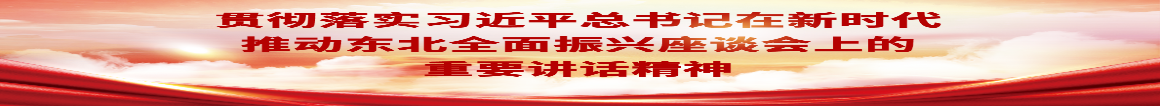 貫徹落實(shí)習(xí)近平總書(shū)記在新時(shí)代推動(dòng)?xùn)|北全面振興座談會(huì)上的重要講話(huà)精神
